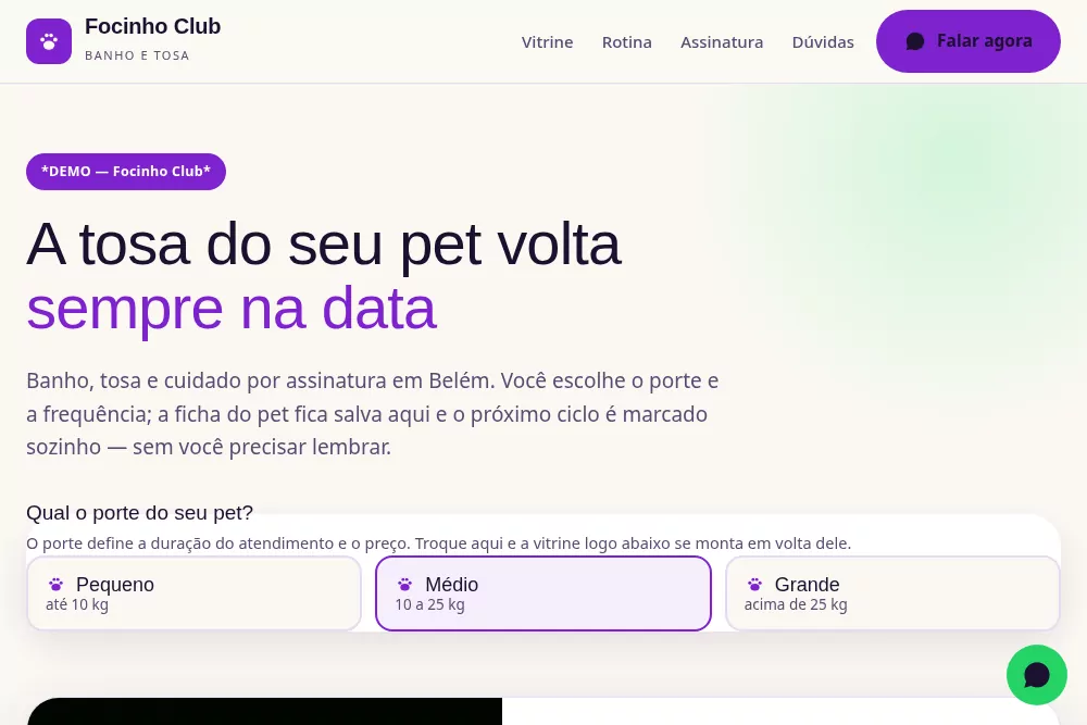Focinho Club desktop